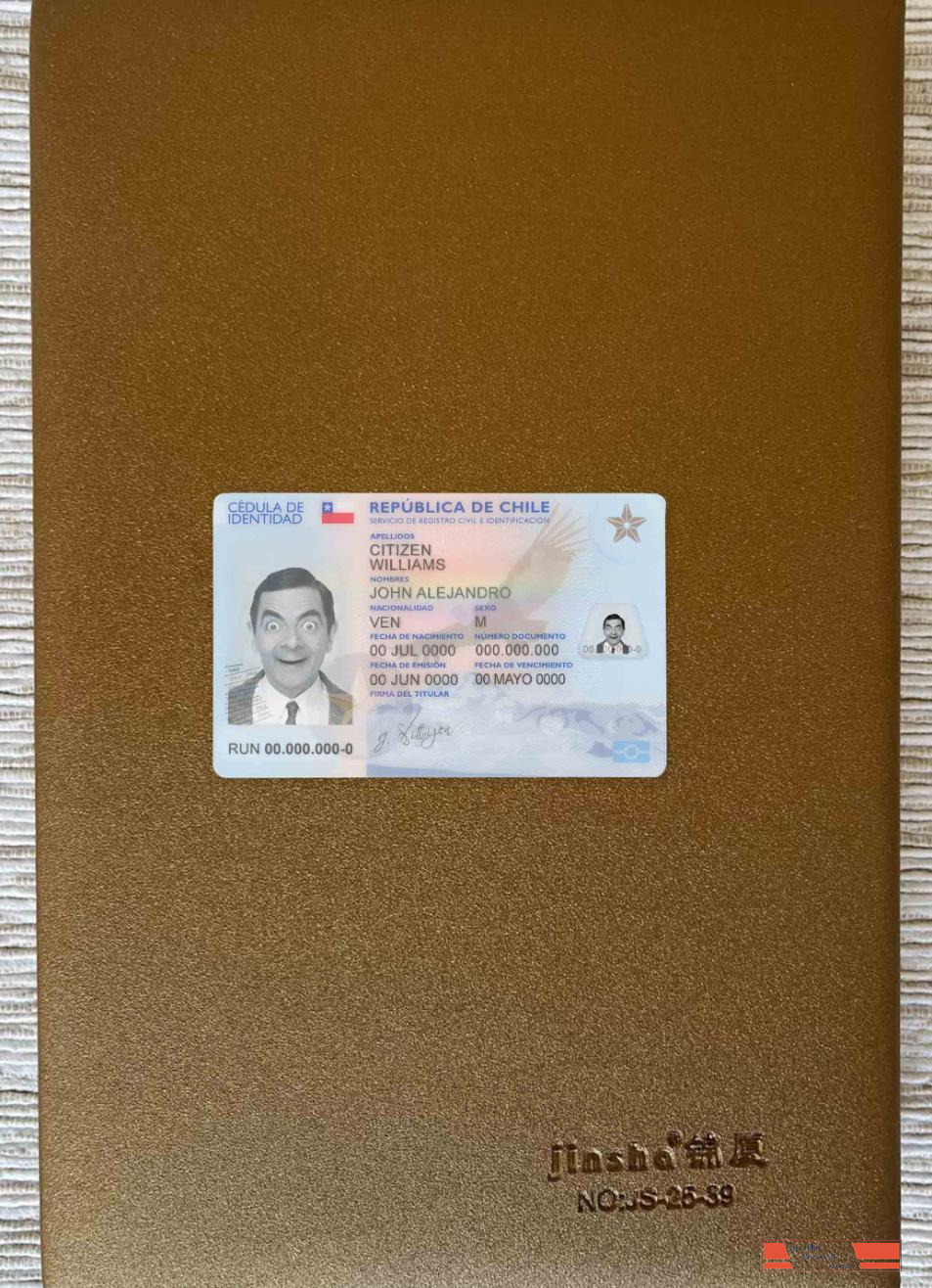 Chile ID photolook FRONT PSD template